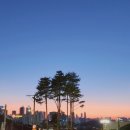 이케아 횡단보도 네이버블로그