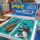 고현수산 - 남해군 강진로488번길 11-1 | 고현수산