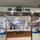 코끼리휴병원 이미지