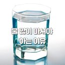 초심피티 이미지