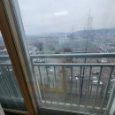 신방한라동백@ 2 이미지