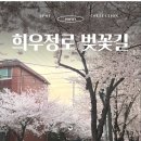 신공주떡볶이 | 합정 희우정로 벚꽃길 현황 | 신공주떡볶이 팝업 웨이팅 후기
