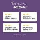 선라이트