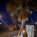 전원개발 | 나눔조명 태양광투사등 MJ-L 후기 전원주택 마당을 바꾸는 빛, 배선 없는 정원 조명의 기준