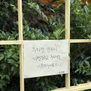 대명회관 | 대구 앞산주택 후기｜전시회 가기 전 들른 분위기 좋은 앞산 브런치 맛집