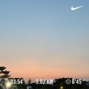 남연허브 | (8/6~21) 베이글베이크샵/피스타치오체리타르트/위빙클래스/러브얼스/웨스틴조선부산/패트와매트인...