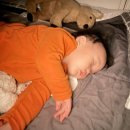 이륙 건축사사무소 | [3대 가족여행] 돌 아기랑 제주도 여행 (1) - 아시아나항공/고집돌우럭 제주공항점 / 마미포유 / 봄날...