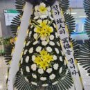 영월화환