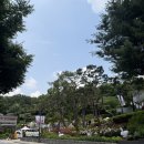 염광고등학교 | 서울 6월축제 초안산 수국동산 축제 전에 미리 다녀온 후기 수국 개화상태, 주차정보