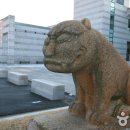 단국대학교 석주선기념박물관 이미지