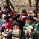 금산초등학교 병설유치원 이미지