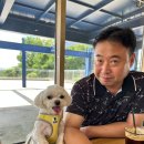 그리네펜션 | 포천·가평] 강아지랑 1박 2일 애견동반 여행 🐶 (그리네 오아시스 · 댕댕이 애견펜션 글램핑 완전 총정리)