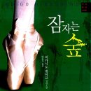 가가상사