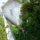 여명약국 이미지