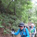 뻐꾹뻐꾹... 봄이 떠나가는 애잔한 소리 - 제679차 월명산 산행 20160608 - A 이미지