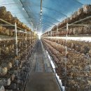 오미2동 이미지