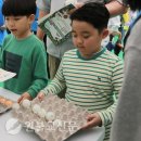 군산월명종합경기장실내체육관 이미지