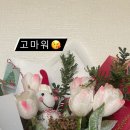 덴탈스파치과의원 네이버블로그
