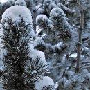 밀물농장 이미지