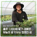 정명진농장 이미지