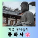 봉화루 | [대구 여행] 봄이 오는 길목에서 부모님과 &#34;동화사&#34; 편안한 방문 후기