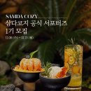 코지1 네이버블로그