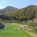 퍼블릭107 이미지