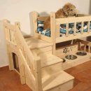 견생폼사 이미지