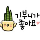 월드크리닝광주 이미지