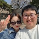 초이스궁 이미지