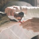 달강아지 이미지