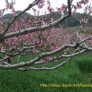 곡성-009 이미지