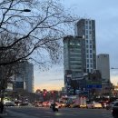 네버스탑트래블 | 25.03.12~16 삼모녀 교토 여행