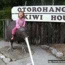 북섬 와이토모 주변 가볼만한 곳 이미지