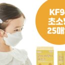 피엘플랜