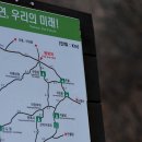 (주)지지킹덤 이미지