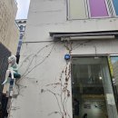 국제법률행정사사무소 이미지