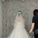 대흘오길 88-11 | w04. 대구 노비아갈라 전자관 보타닉 가든 홀 본식 &amp; 프로젝트88 본식 스냅 후기