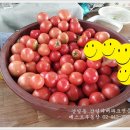 강일 농장 이미지