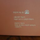 앨리케익 이미지