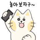 디자인은창