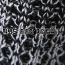 더싸다구 이미지