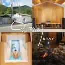 달단지스테이 | [달성/스테이] 대구 감성숙소 대나무와 자작나무 숲 속 캠핑도 할 수 있는 달단지스테이