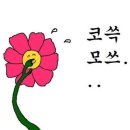 키터리 네이버블로그