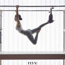 필라펠리스 이미지