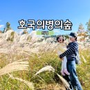 희훈리치파크(아) | 경남 의령 가볼만한 곳 호국의병의숲 리치리치축제 막차후기!