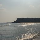 맹그로브 고성 이미지