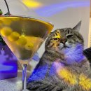 종로쭈꾸미(반구점) 이미지