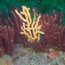 남해-291 이미지