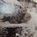 영광경찰서 앞 이미지